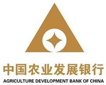 中国农业开展银行：综合报表平台